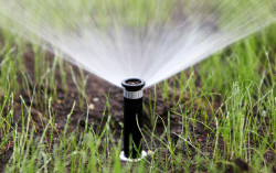 Irrigation